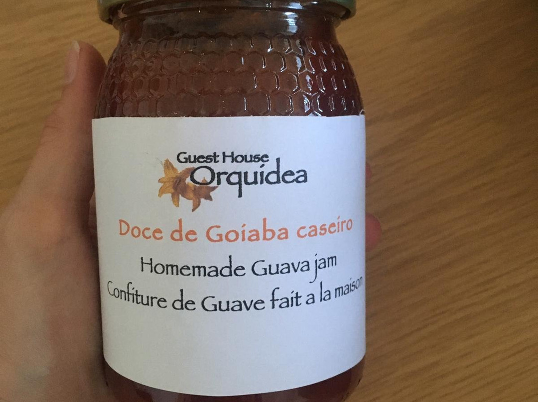 Orquidea Guest House主图