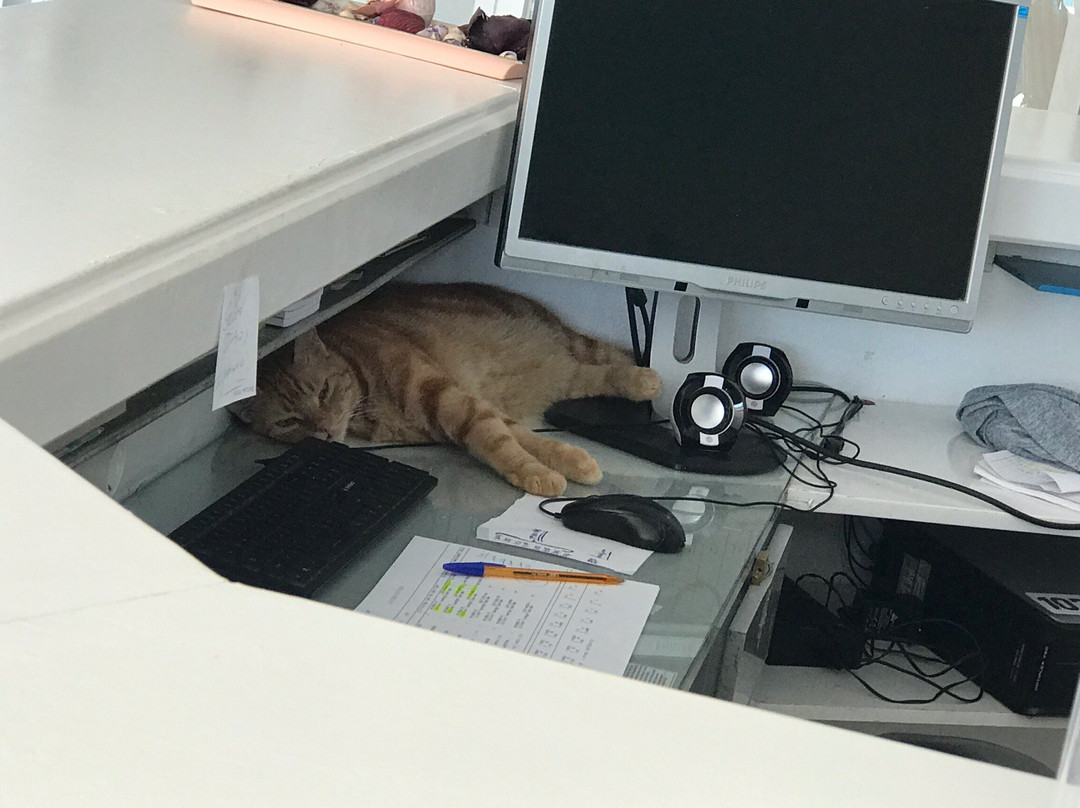 Afandou Sky Hotel主图