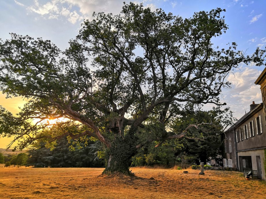 Domaine de La Boulaie主图