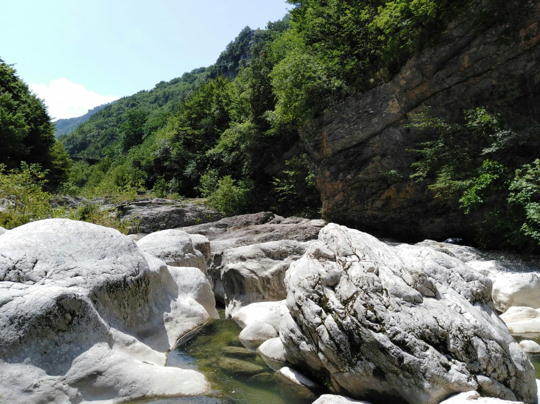 Forre Lavello