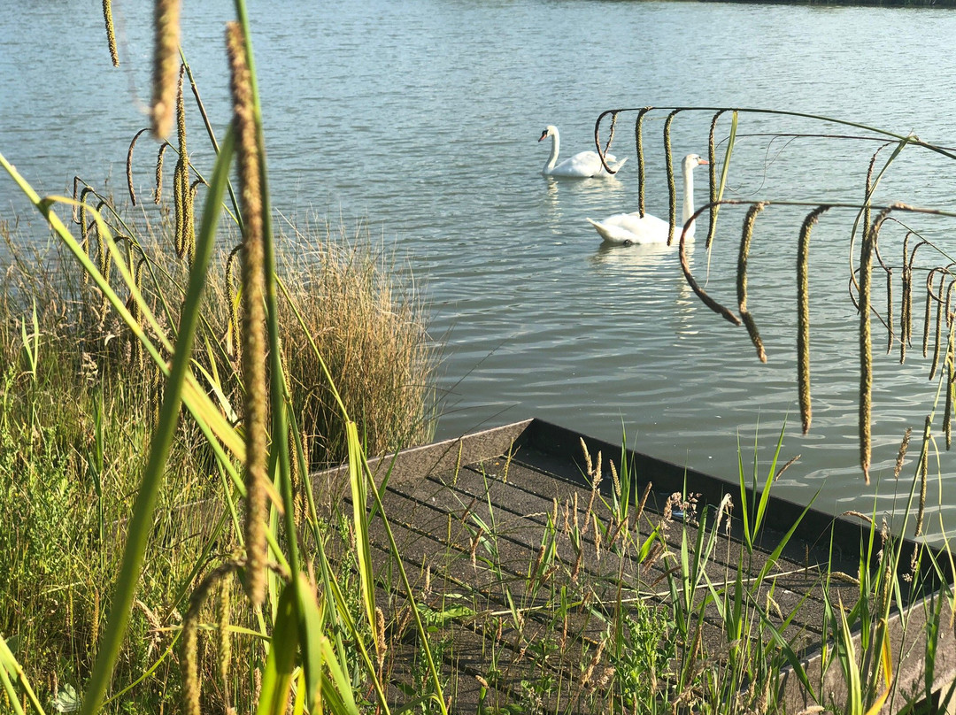 Cotgrave Country Park景点图片