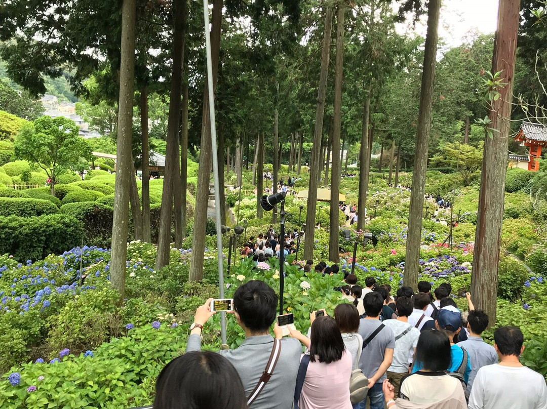 Mimuroto-ji Temple-宇治市必去景点