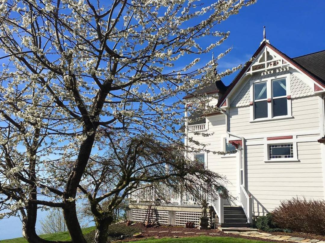 Dahlia House Bed & Breakfast主图