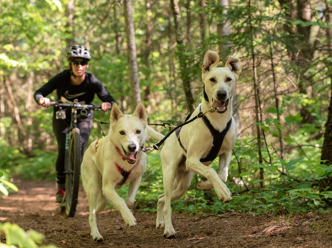 Parc de la rivière Bourbon-Plessisville必去景点