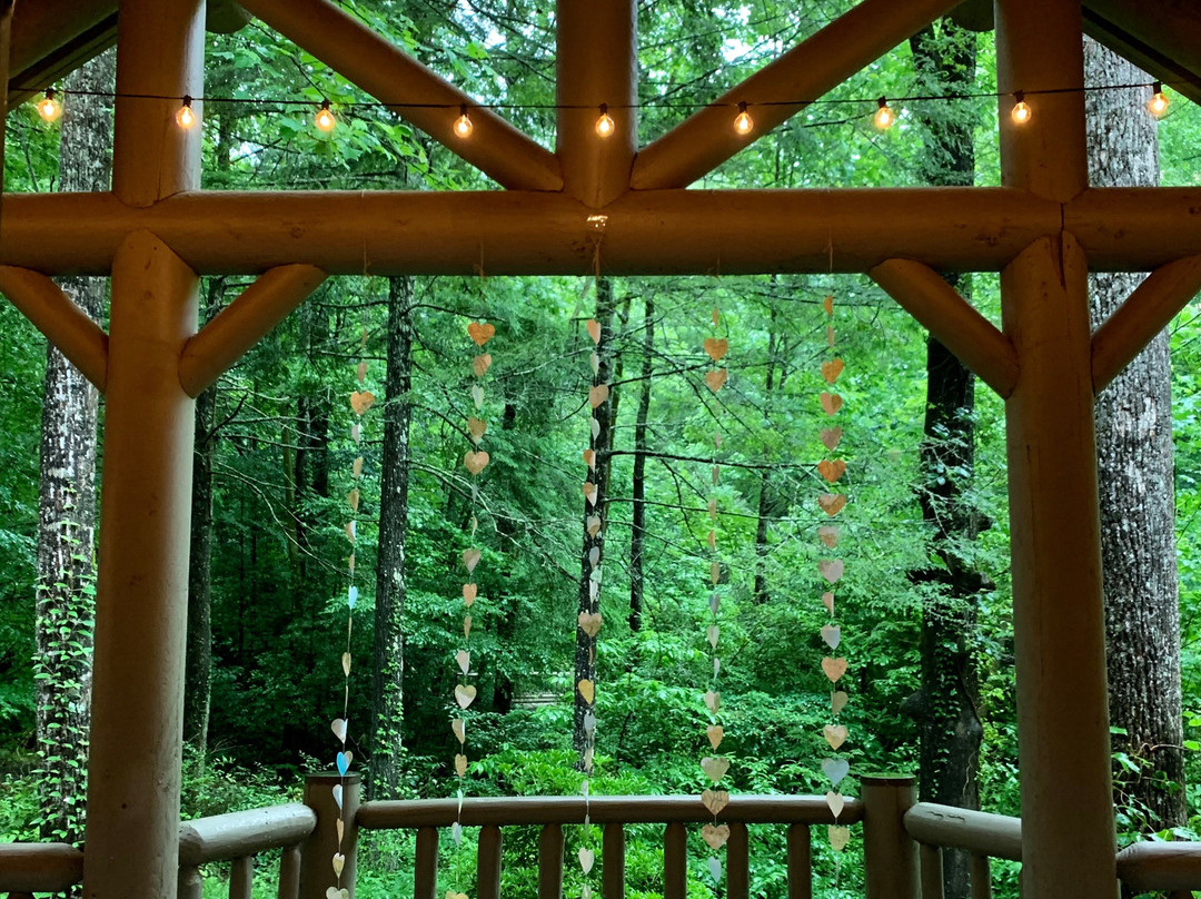 The Lodge at Smithgall Woods主图