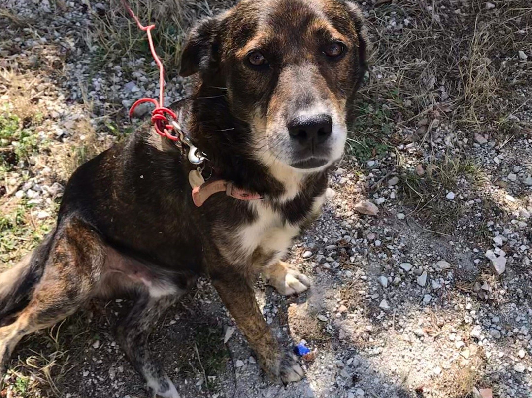 Molino Monacelli Country House主图