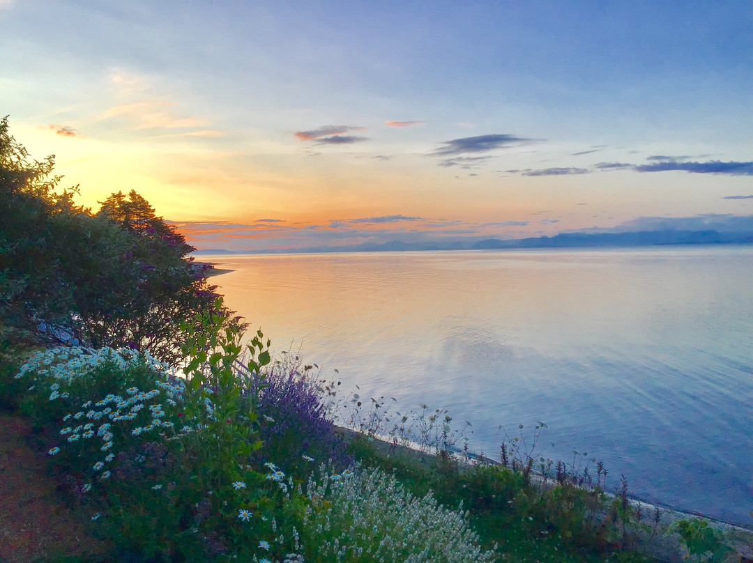 Bella's Beachfront B&B主图