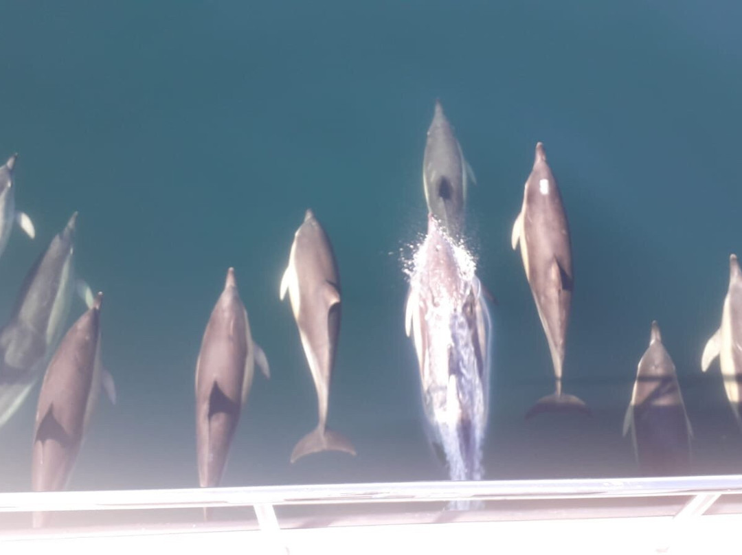 Westward Fishing & Tours-Inishmore必去景点