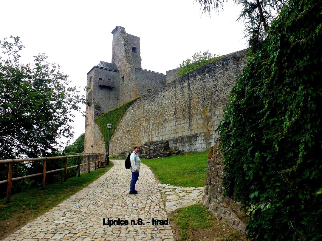 Státní hrad Lipnice景点图片