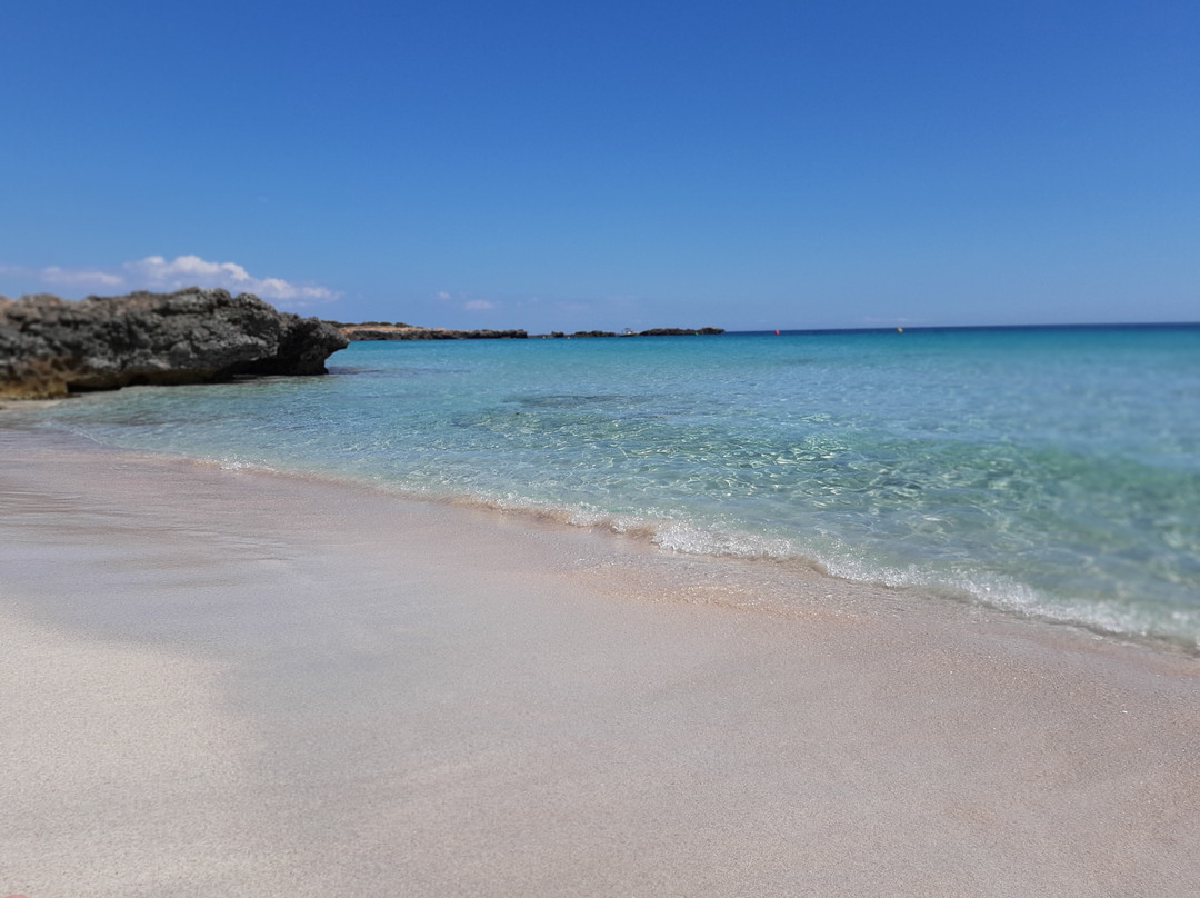 Son Xoriguer旅游攻略图片