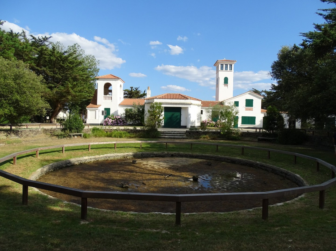 Villa Grosse Terre景点图片