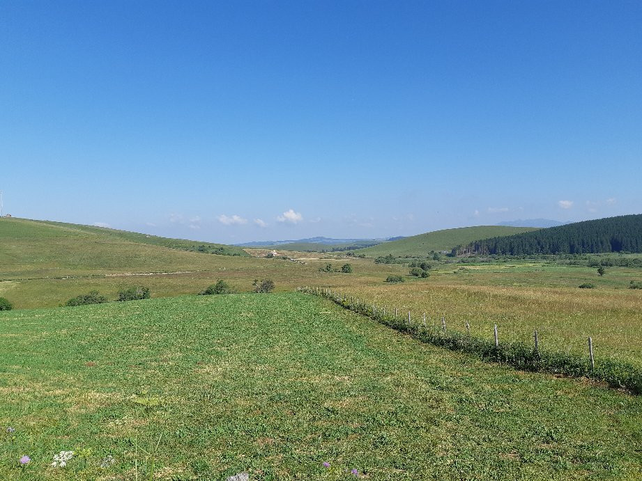 Reserve Naturelle des Sagnes de la Godivelle景点图片