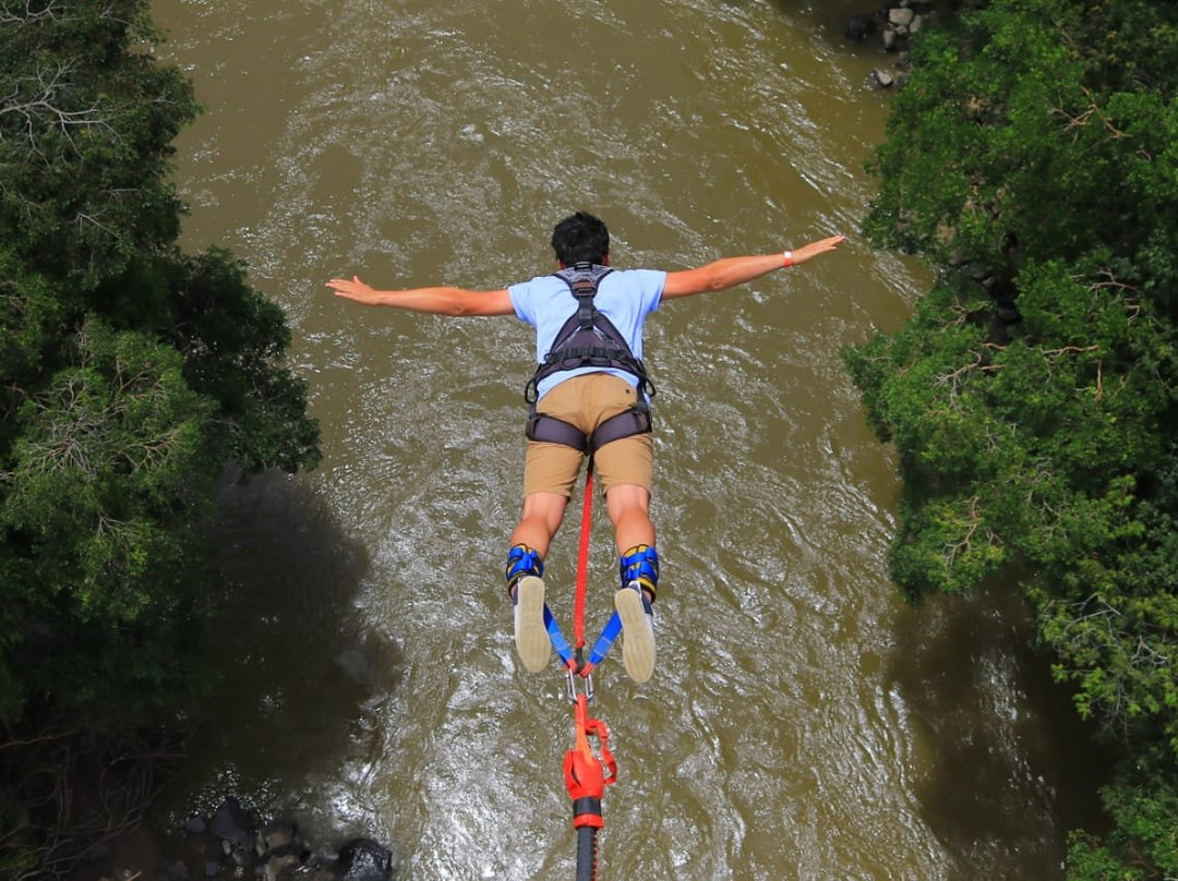 Colombia Bungee Jumping景点图片