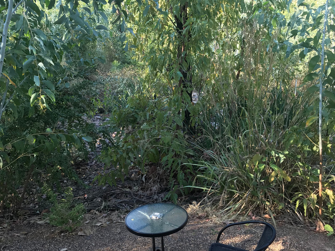 艾玛乔治度假酒店主图