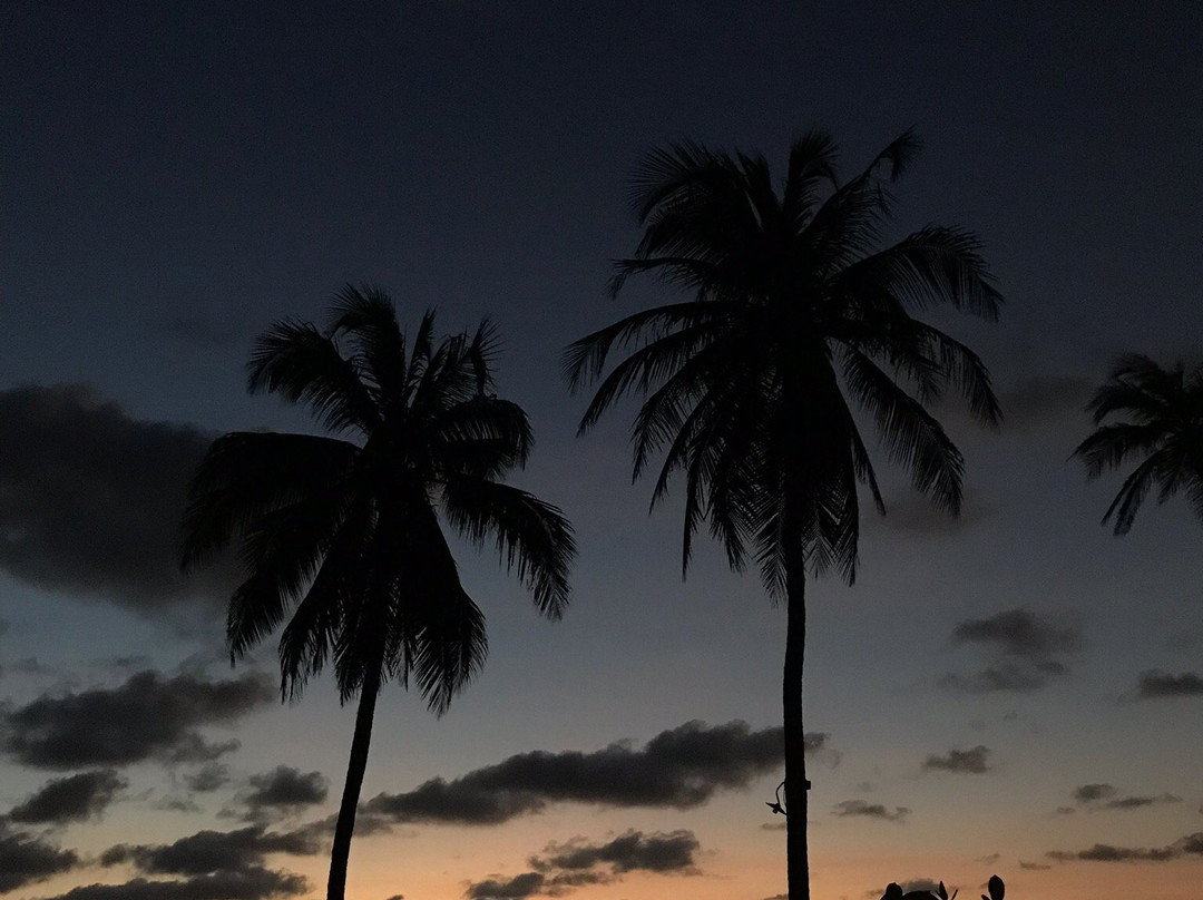 Pousada Les Alizes主图