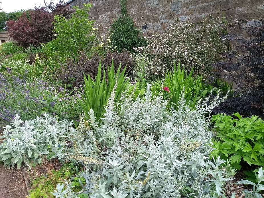 Amisfield Walled Garden-Haddington必去景点
