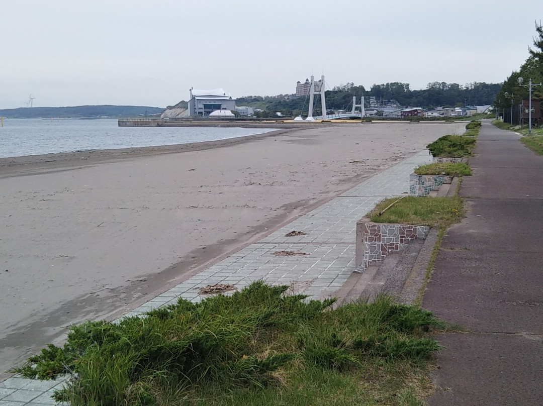 Rosa Rugosa Park-鲹泽町必去景点