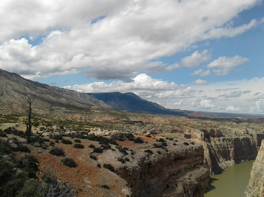 Bighorn Canyon National Recreation Area景点图片