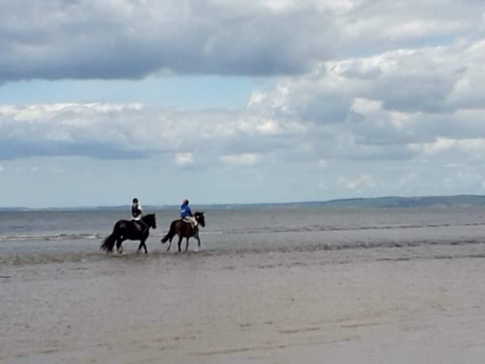 Pembrey Park Riding Centre景点图片