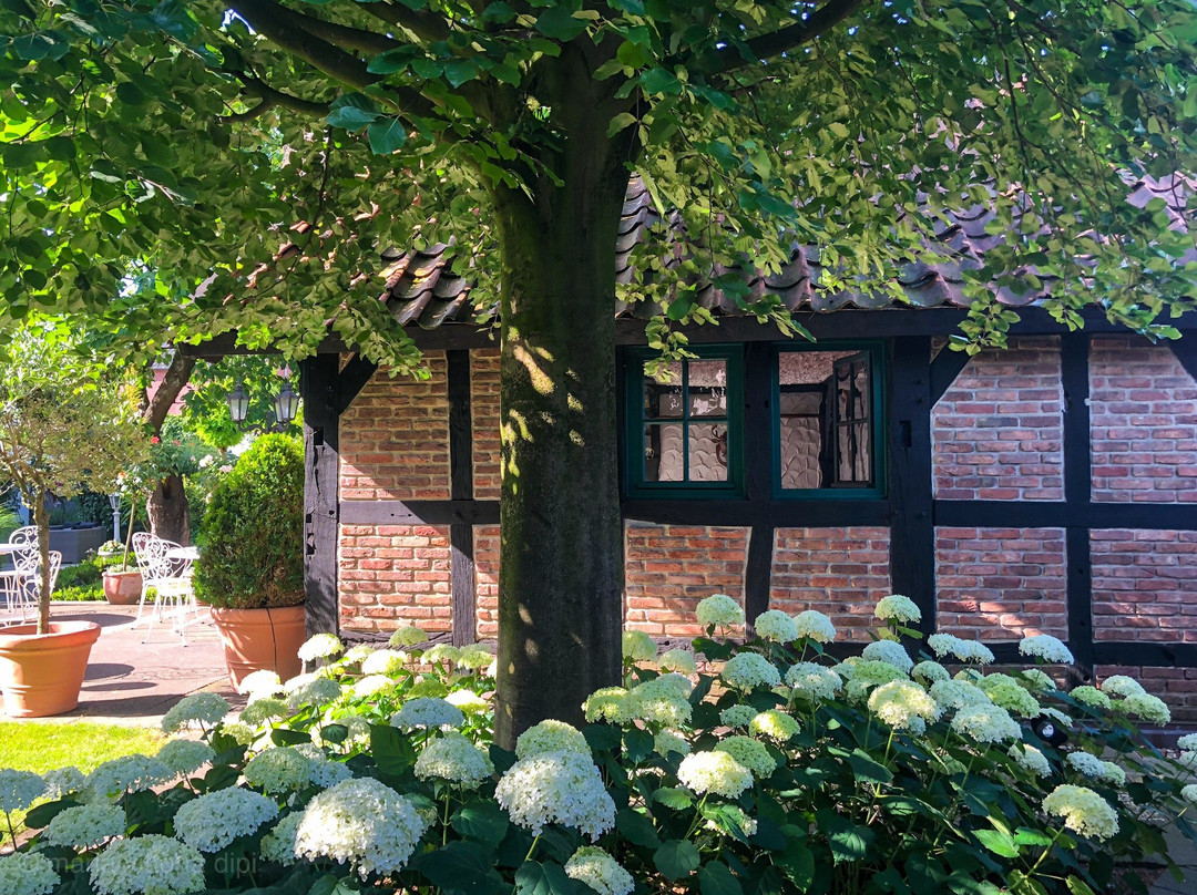 Zum alten Brunnen主图