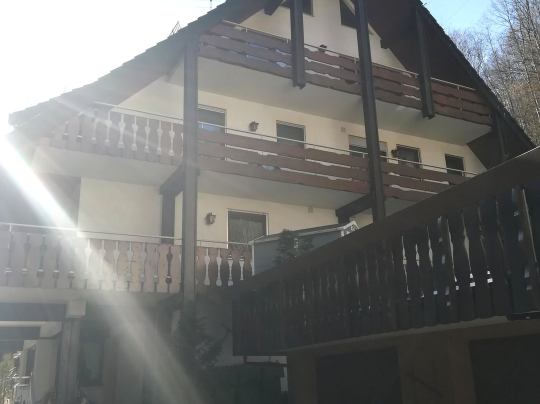 Hoferer Hotel-Penison主图