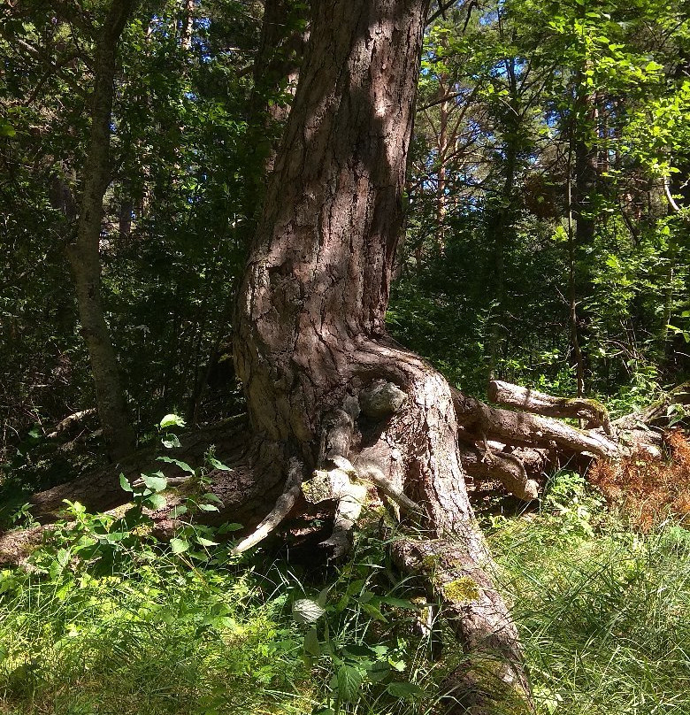 RMK Kabli Nature Centre and Hiking Trail-Haademeeste必去景点