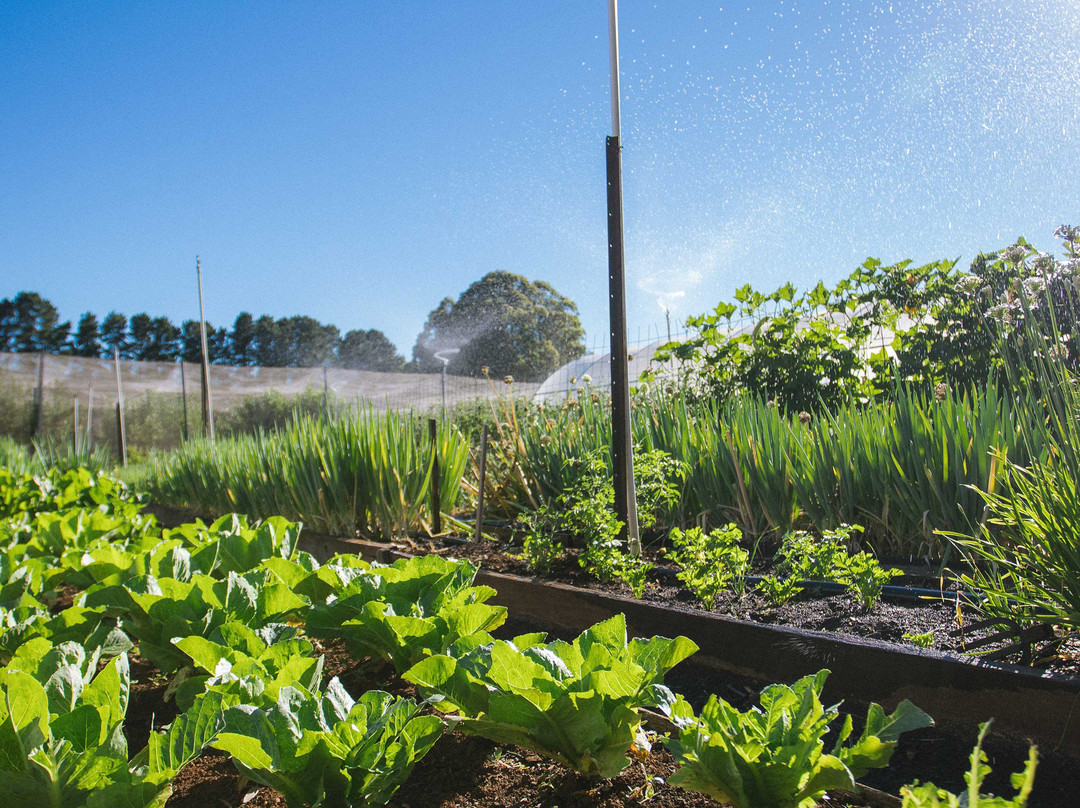 Abide Wellness Retreat-Narbethong必去景点