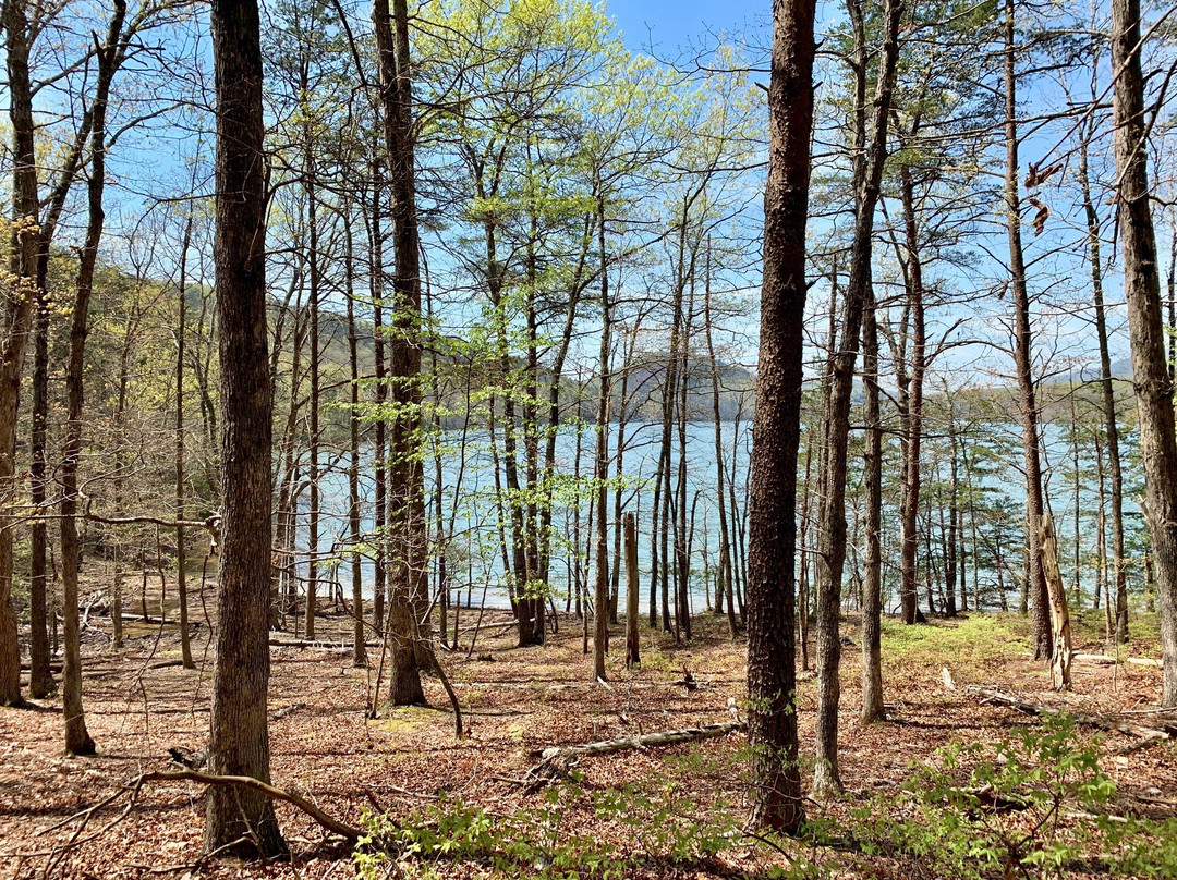 Carvins Cove Natural Reserve-罗阿诺克必去景点