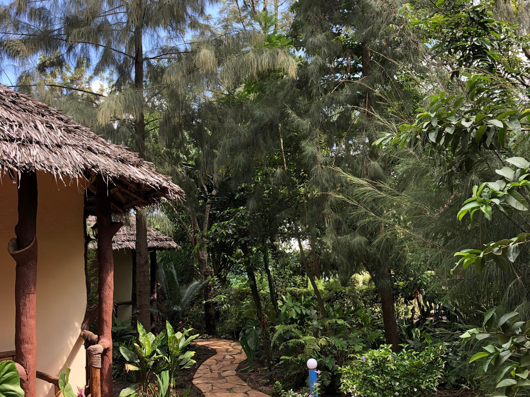 The Vijiji Center Lodge & Safari主图