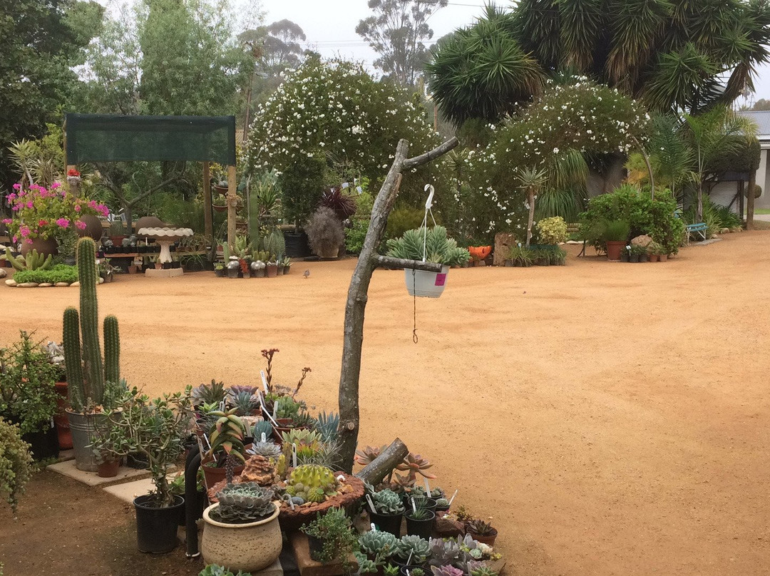 Heidelberg kwekery-Heidelberg必去景点