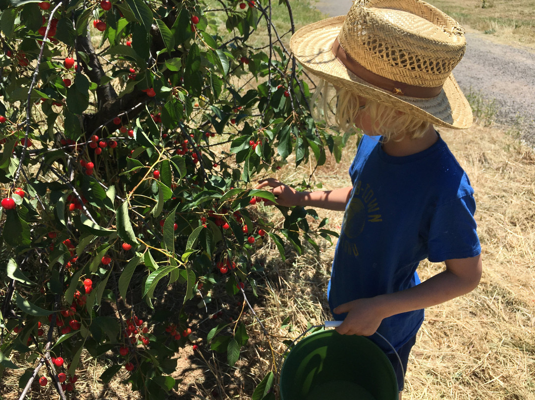 Valley View Orchards-阿什兰必去景点