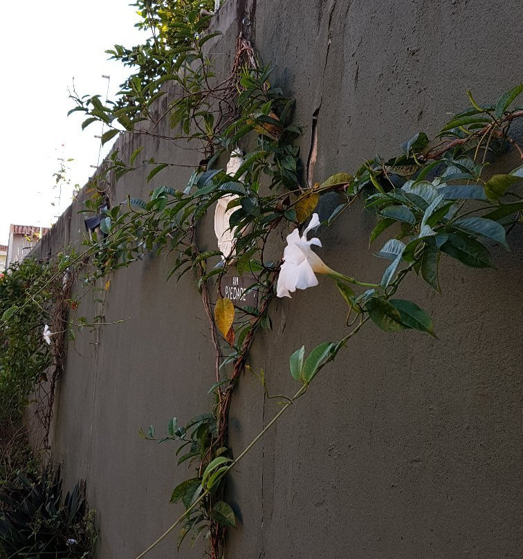 Oratorio Nossa Senhora do Silêncio-Londrina必去景点