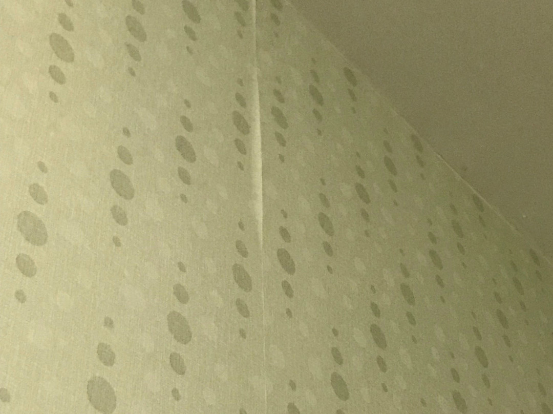 SpringHill Suites by Marriott Orlando Altamonte Springs/Maitland主图