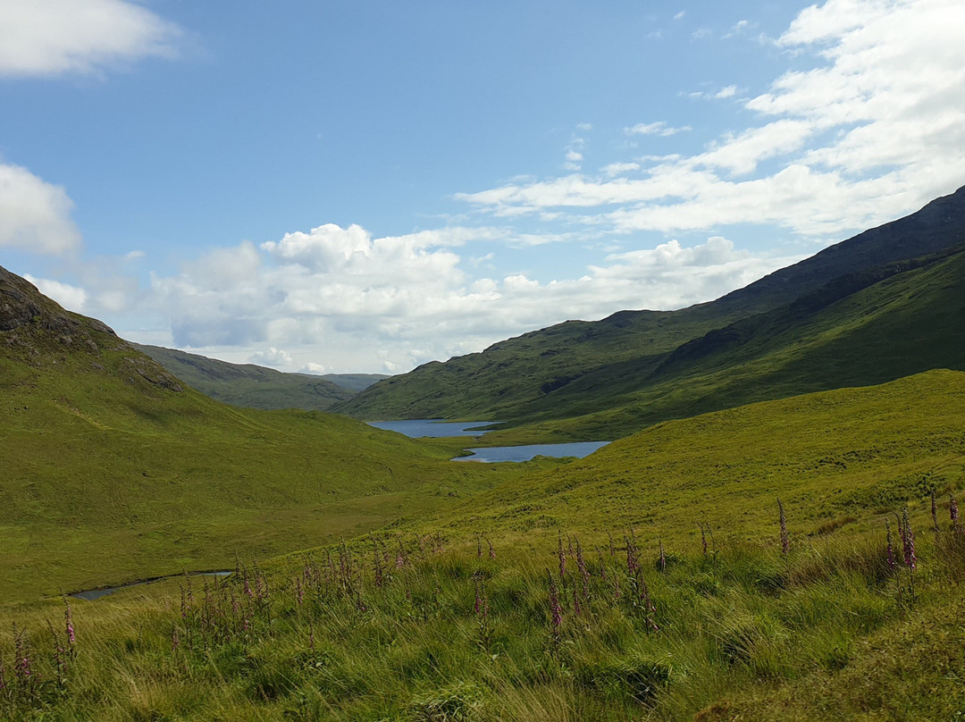 Fascadail Bed & Breakfast主图