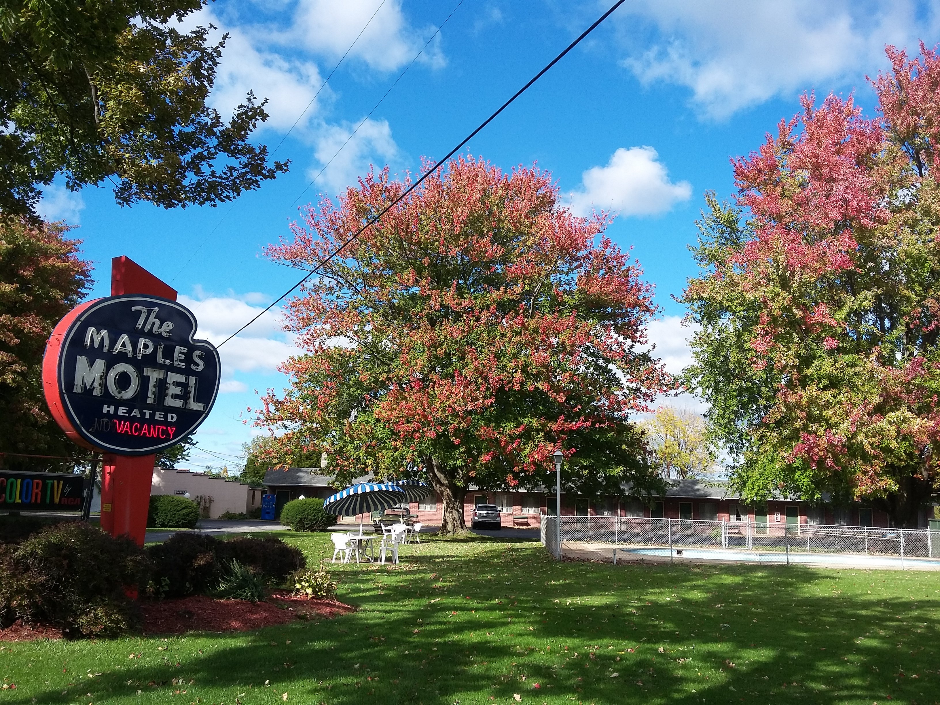Maples Motel-官方