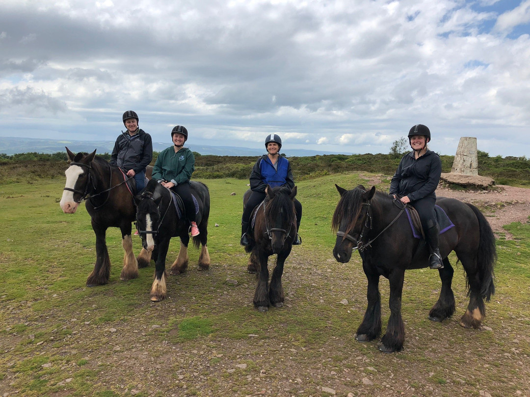 Quantock Trekking景点图片