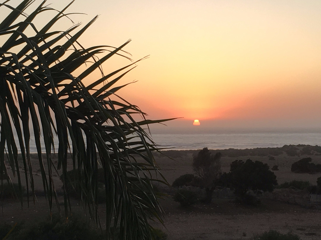 Dancing the Waves-Tafedna必去景点