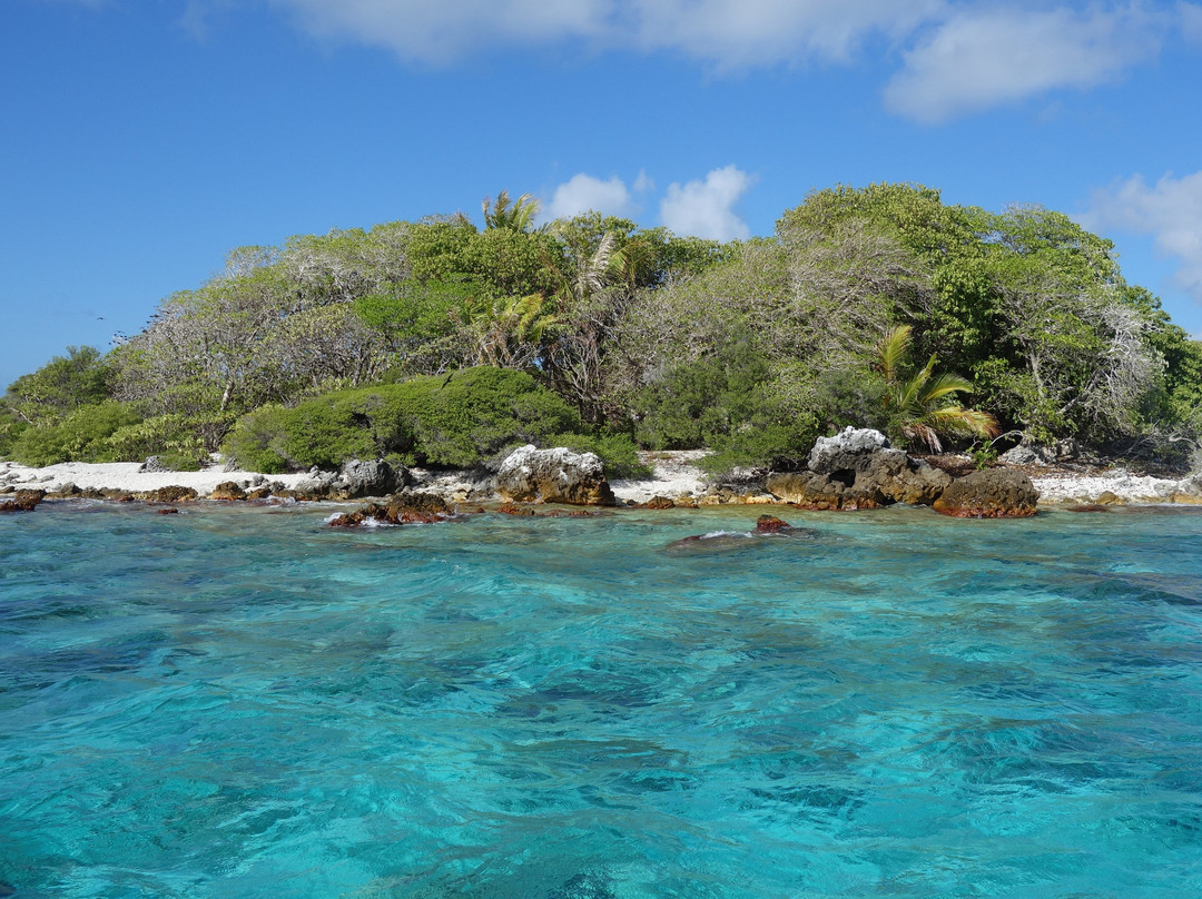 Rairoa Fishing And Tours-伦吉拉必去景点