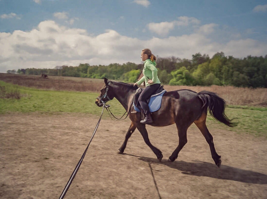 Horse Riding Club Fortuna景点图片