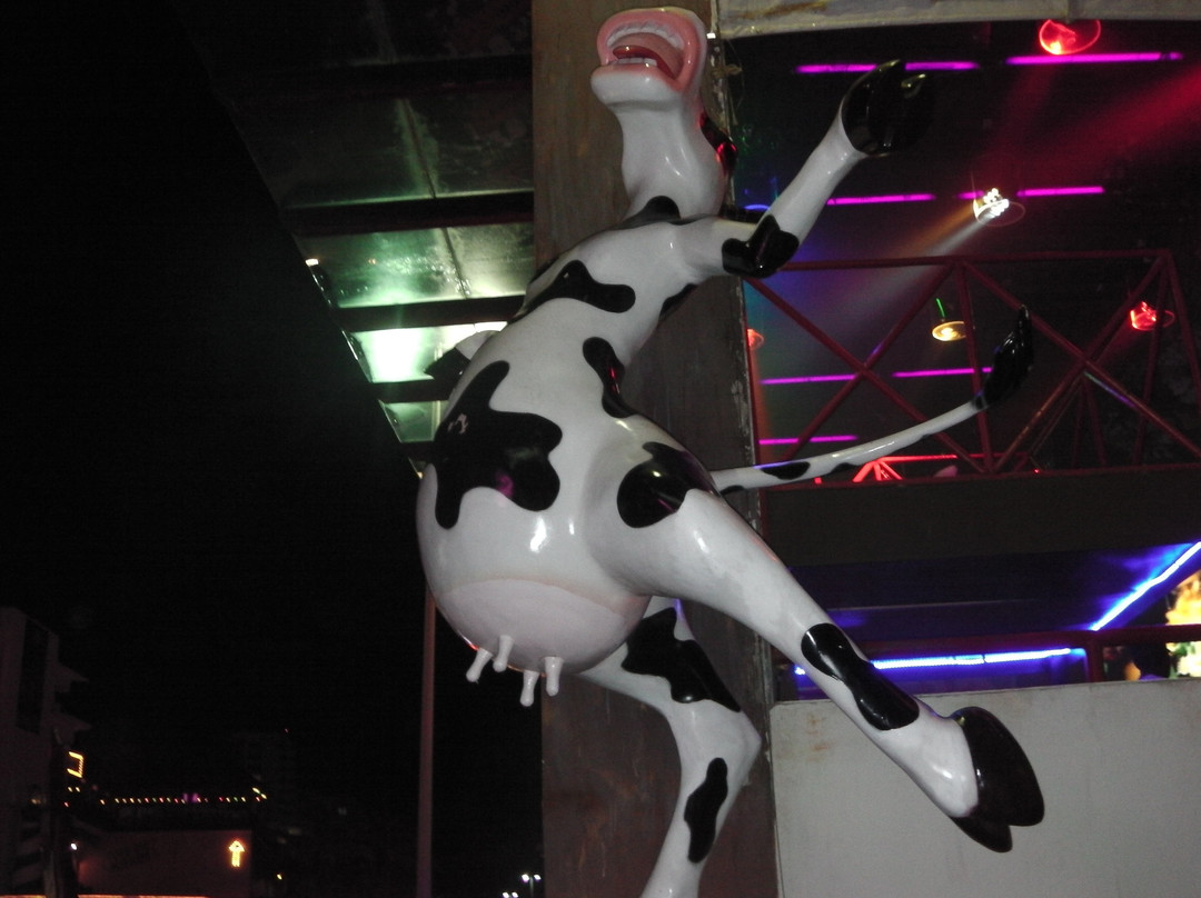 Cuncrawl-坎昆必去景点