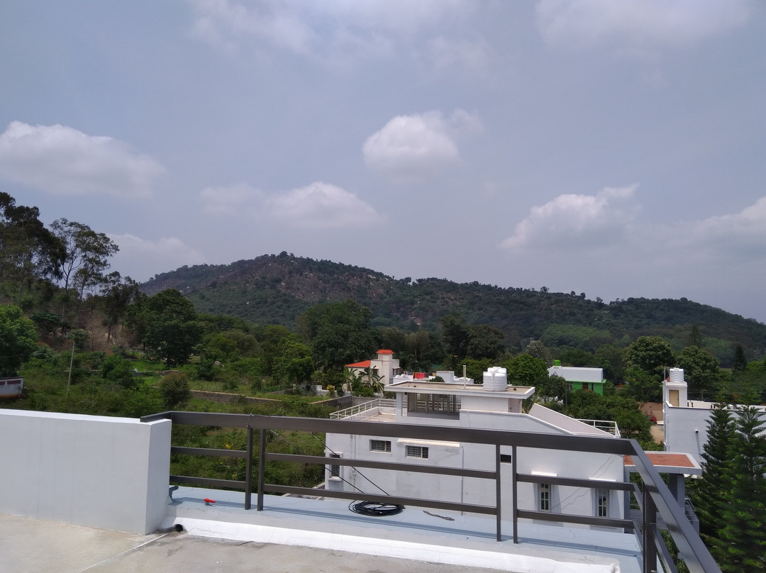 GB Castle Guesthouse主图