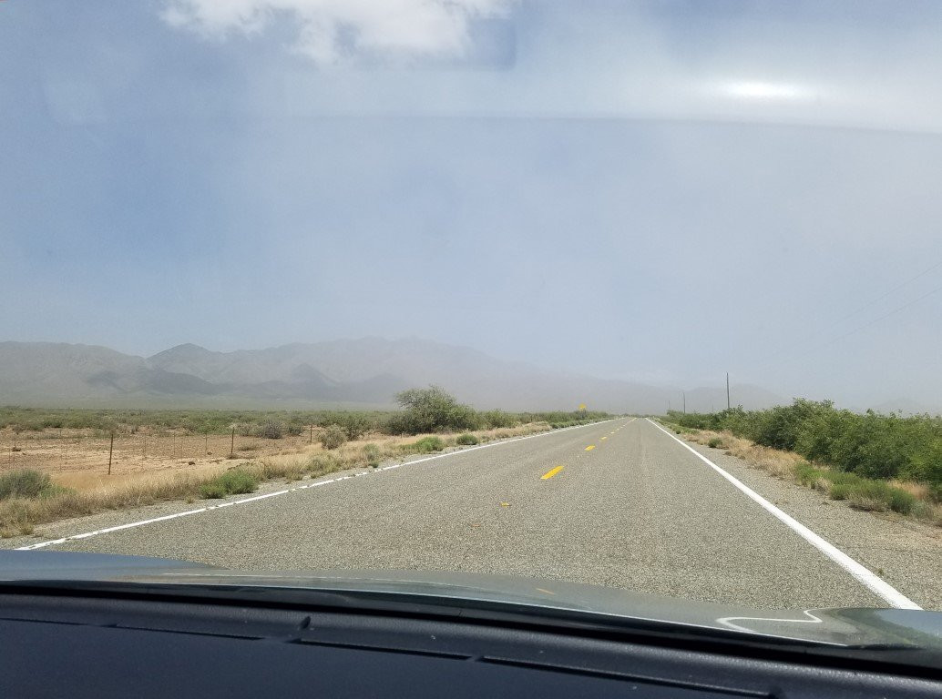 Willcox Playa Wildlife Area-Willcox必去景点