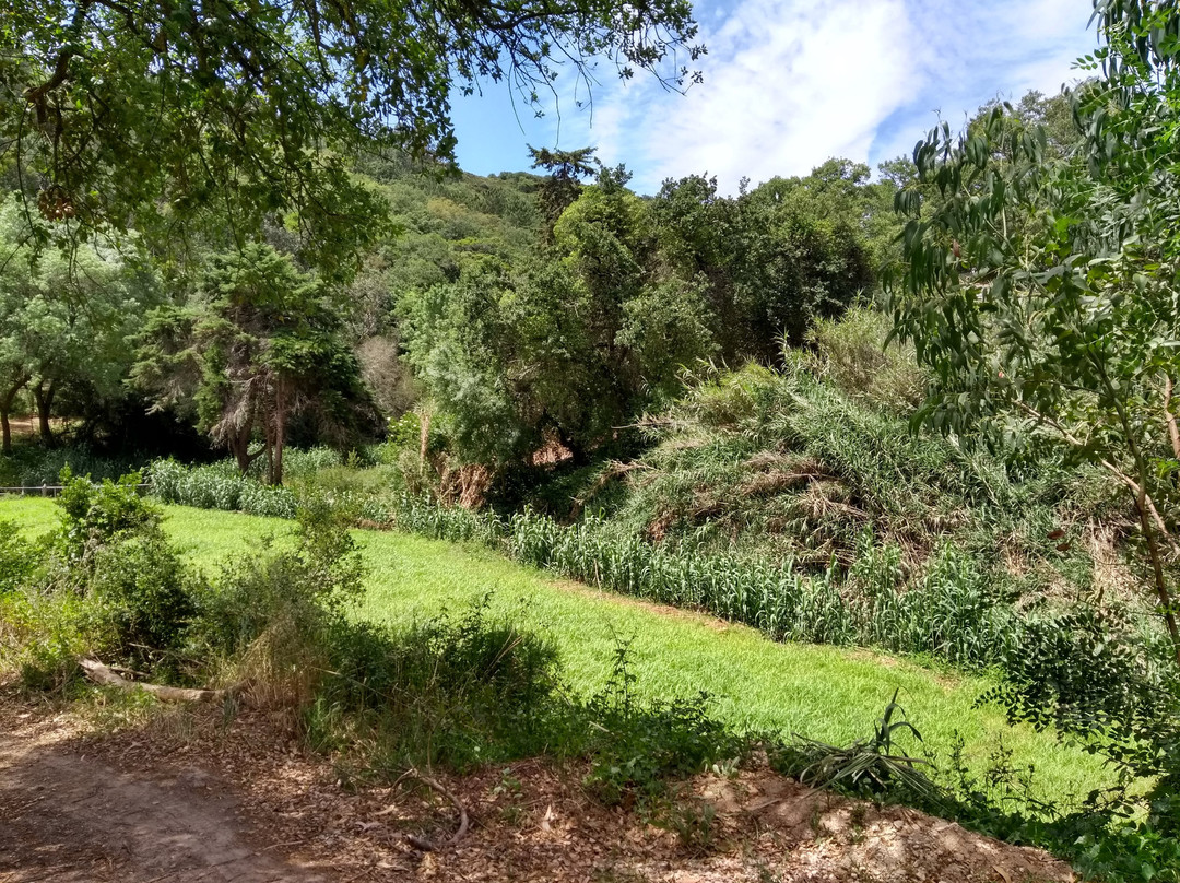 Casais de Sao Lourenco旅游攻略图片