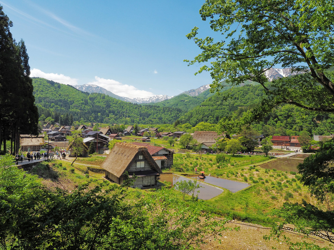 世界遗产白川乡合掌屋景点图片