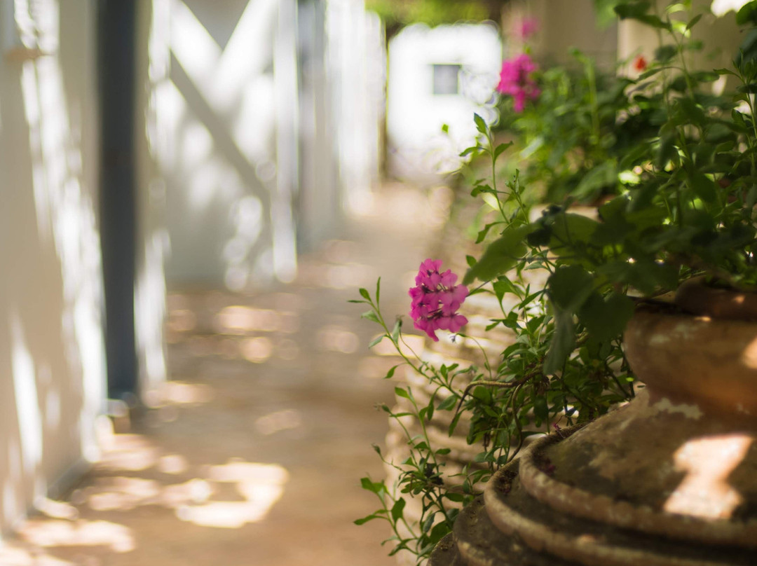 Bratsera Hotel主图