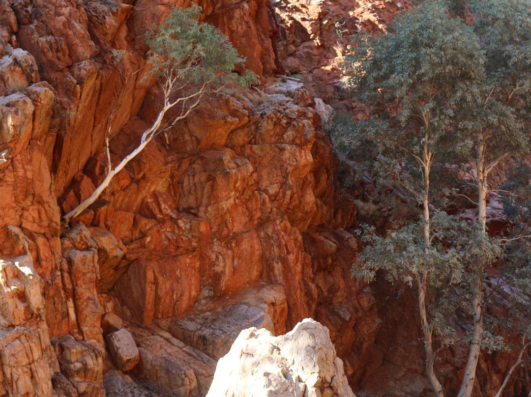 The Emily and Jessie Gaps Nature Park-爱丽斯泉必去景点