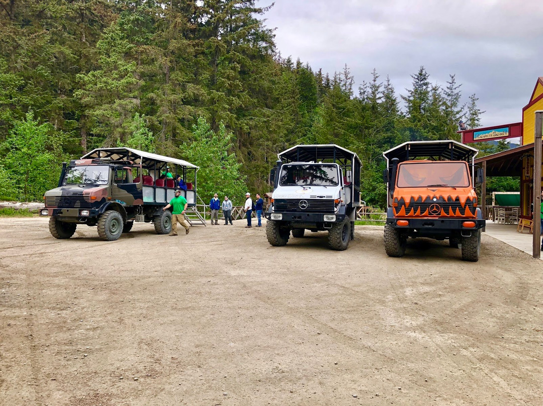 Alaska Sled Dogs & Musher's Camp景点图片