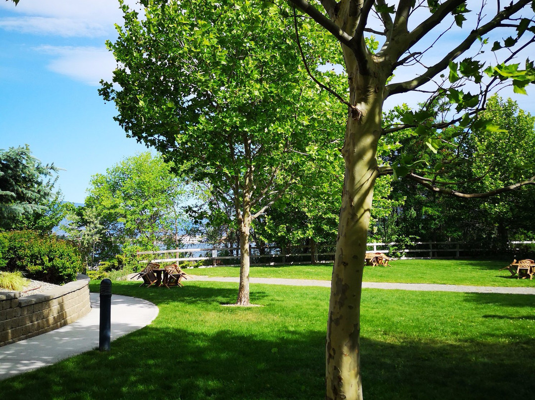 Walnut Beach Resort主图