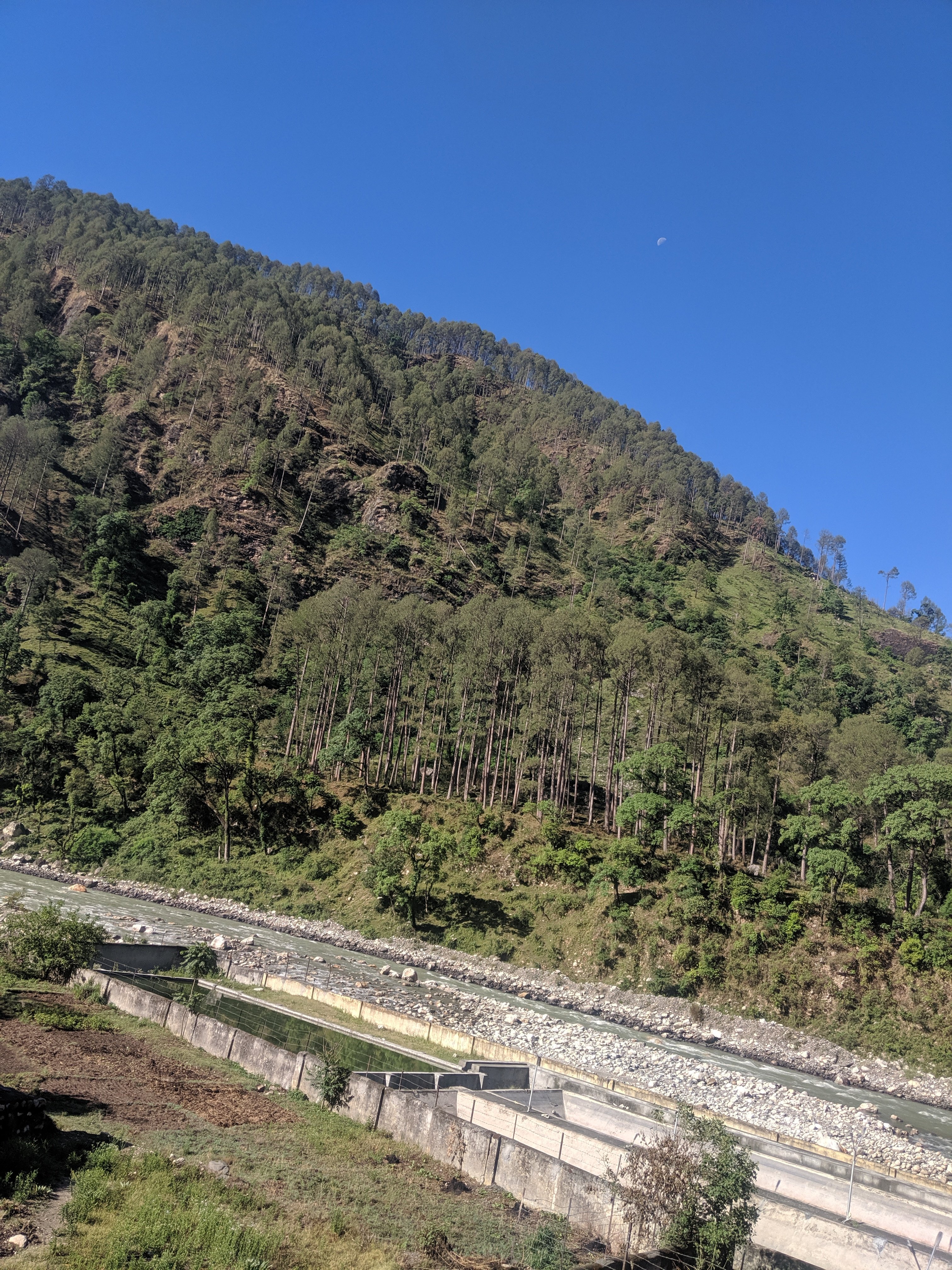Geetanjali Resort-酒店景观
