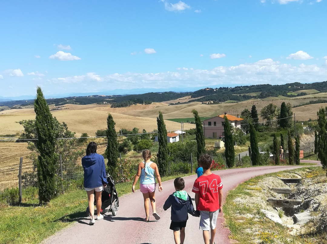 Diacceroni Agriturismo Biologico主图